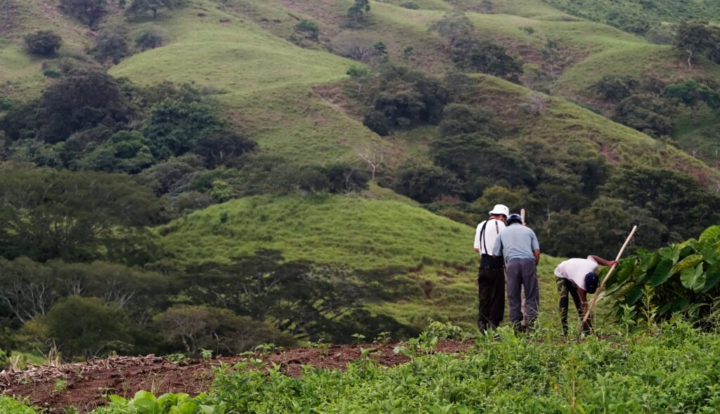 Sector agricultor Imagen sector agricultor