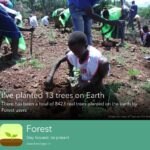 Forest App Plugin CRÉDITO A FOREST