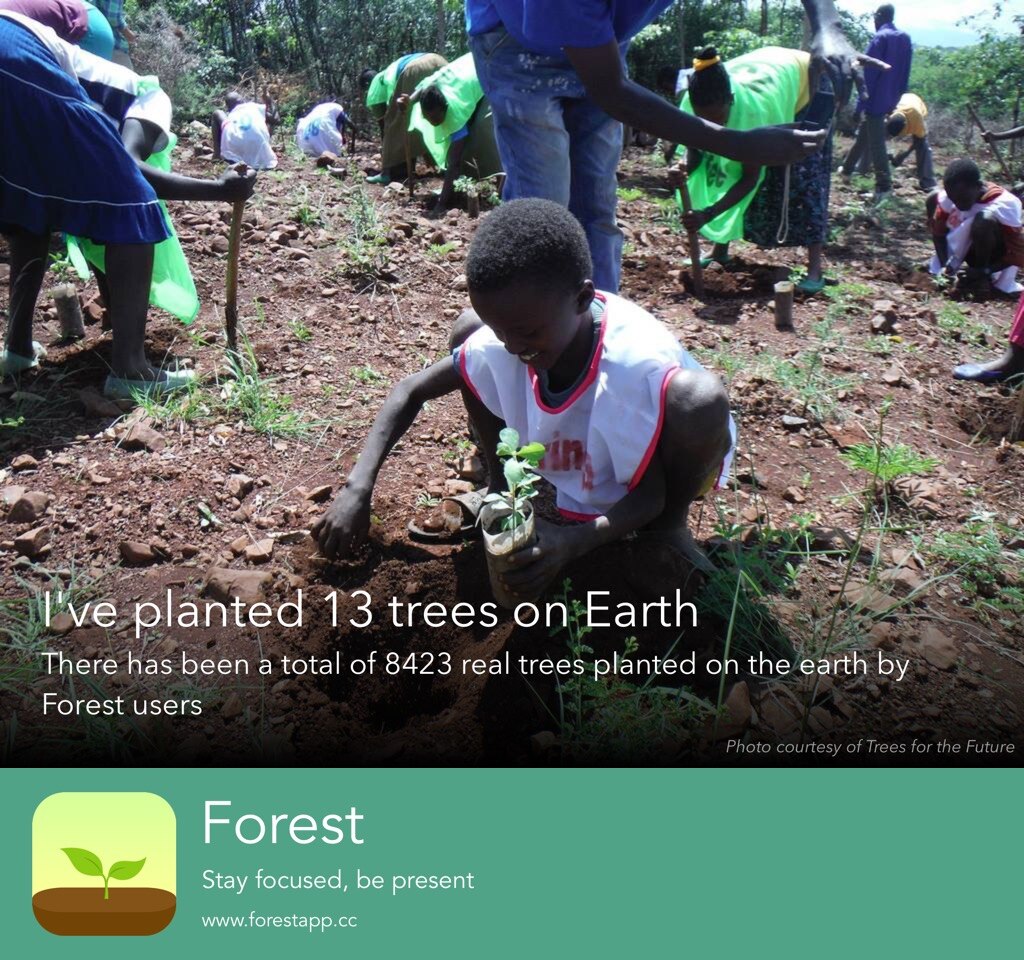 Forest App Plugin CRÉDITO A FOREST