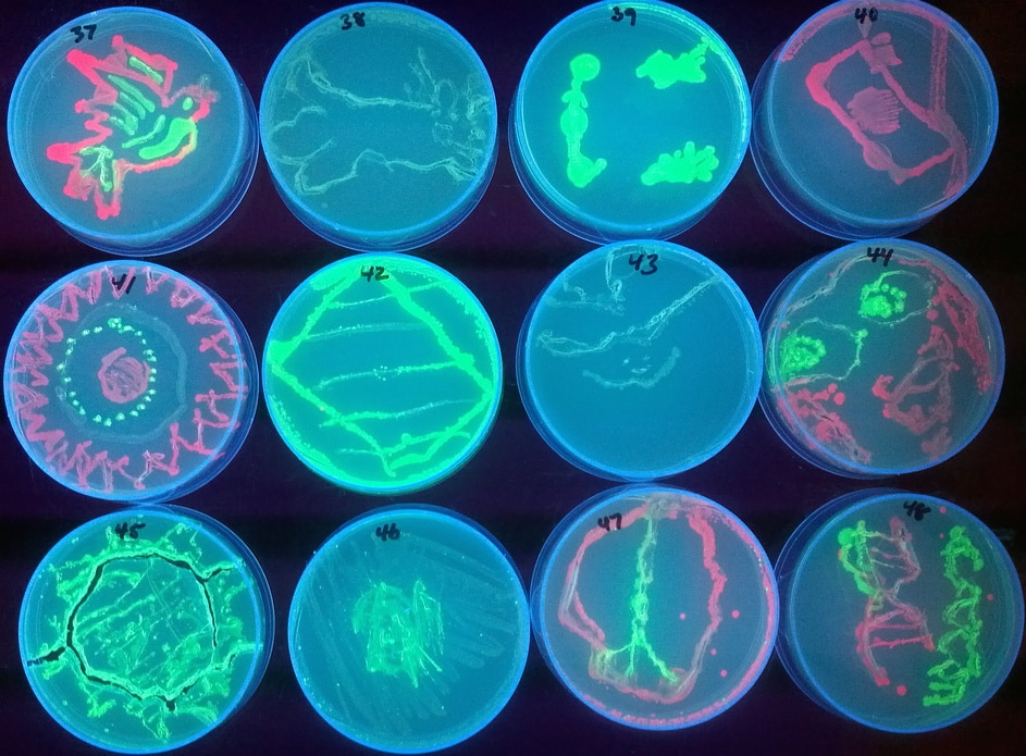 ciencia adn laboratorio bbva