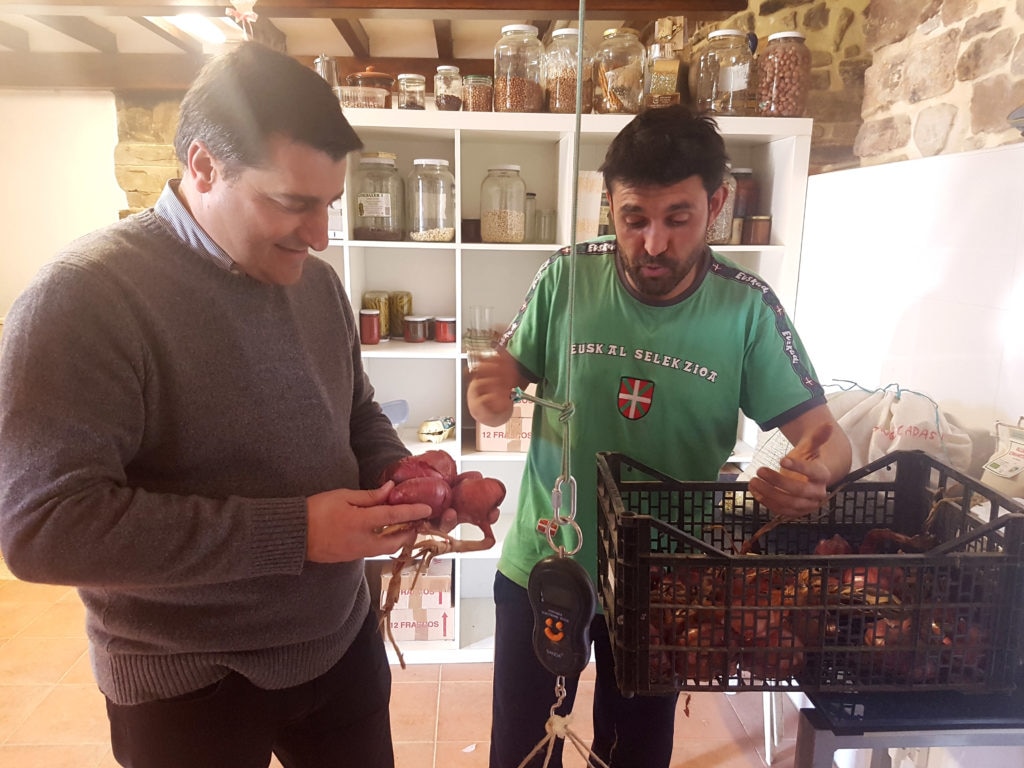 Borja Lopez, agricultor, habla con Josep Roca sobre el cultivo de cebollas moradas autóctonas, mientras se las enseña. Borja Lopez, agricultor, habla con Josep Roca sobre el cultivo de cebollas moradas