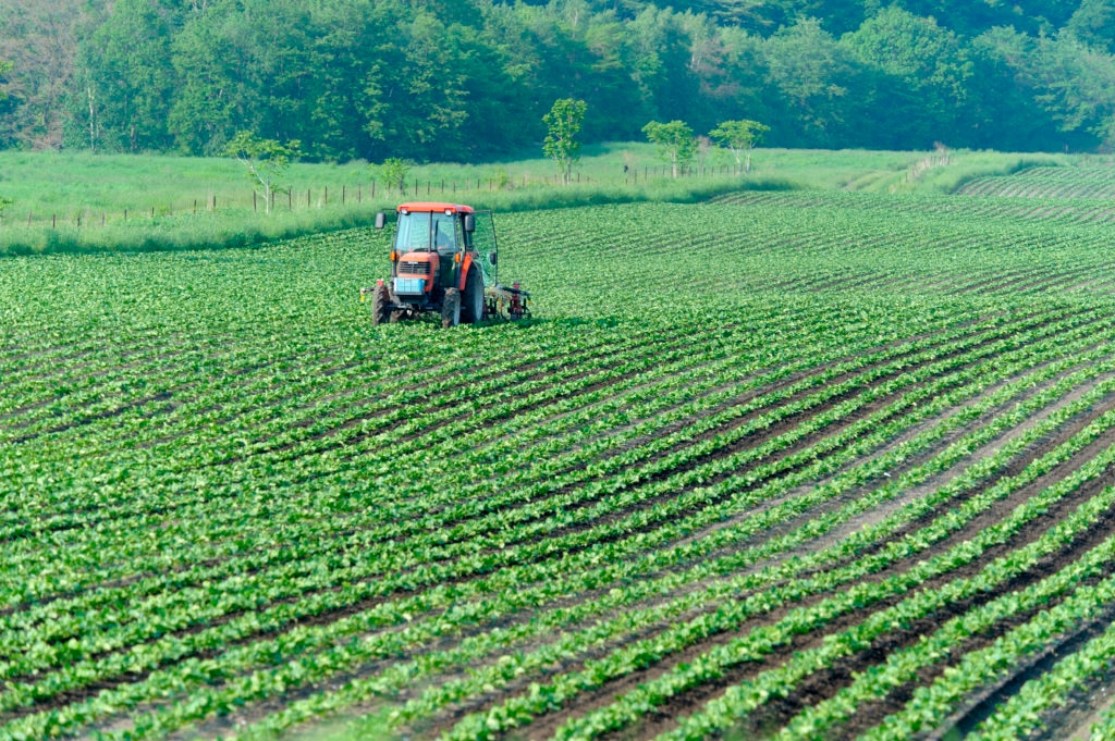 Resultado de imagen para agricolas