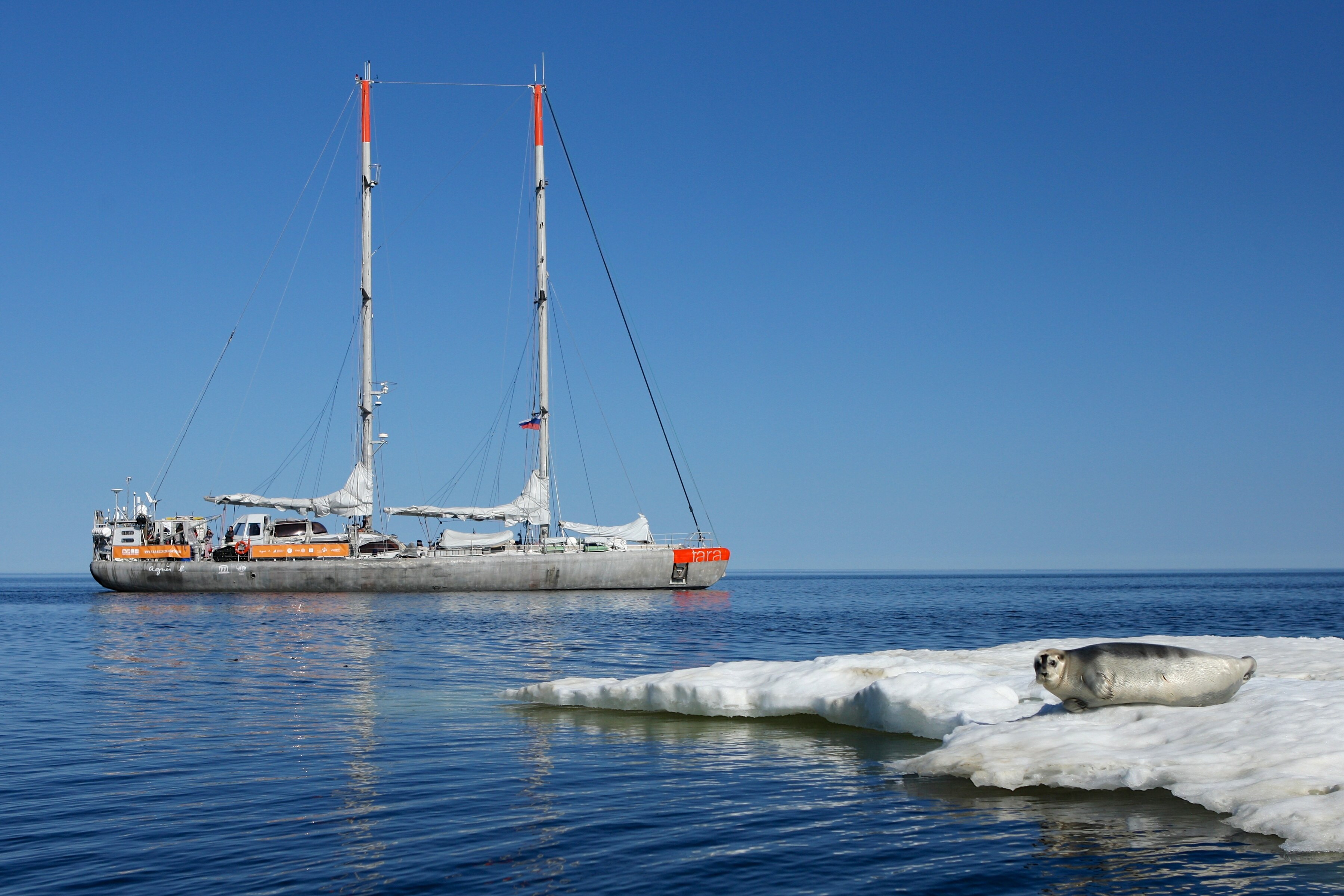 Imagen de Barco de la expedición Tara, que ha estudiado la presencia de plásticos en el Ártico Imagen de Barco de la expedición Tara, que ha estudiado la presencia de plásticos en el Ártico
