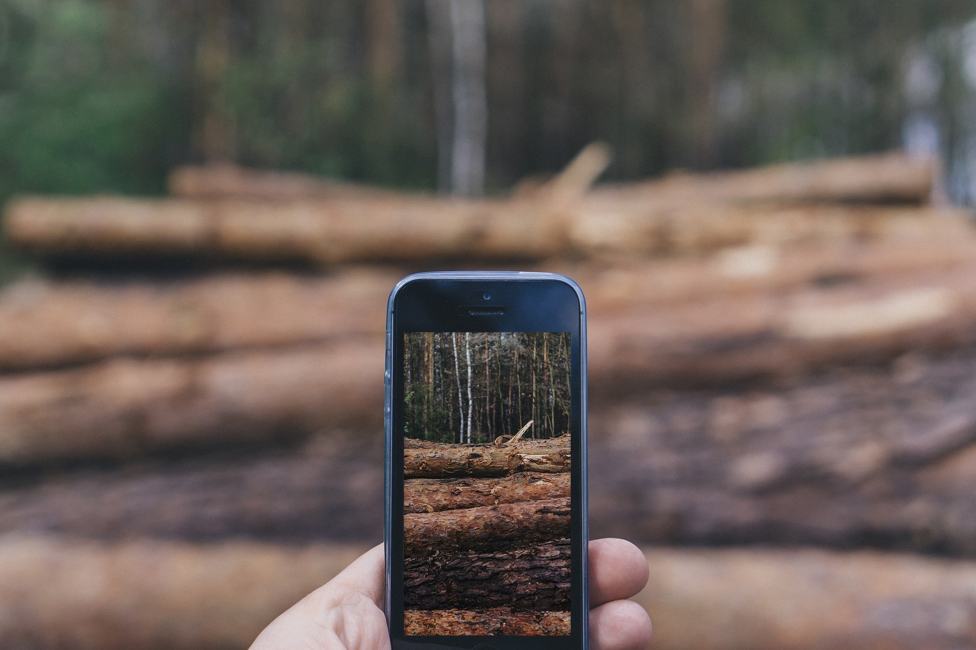 Deforestación recurso movil Tala de arboles celular