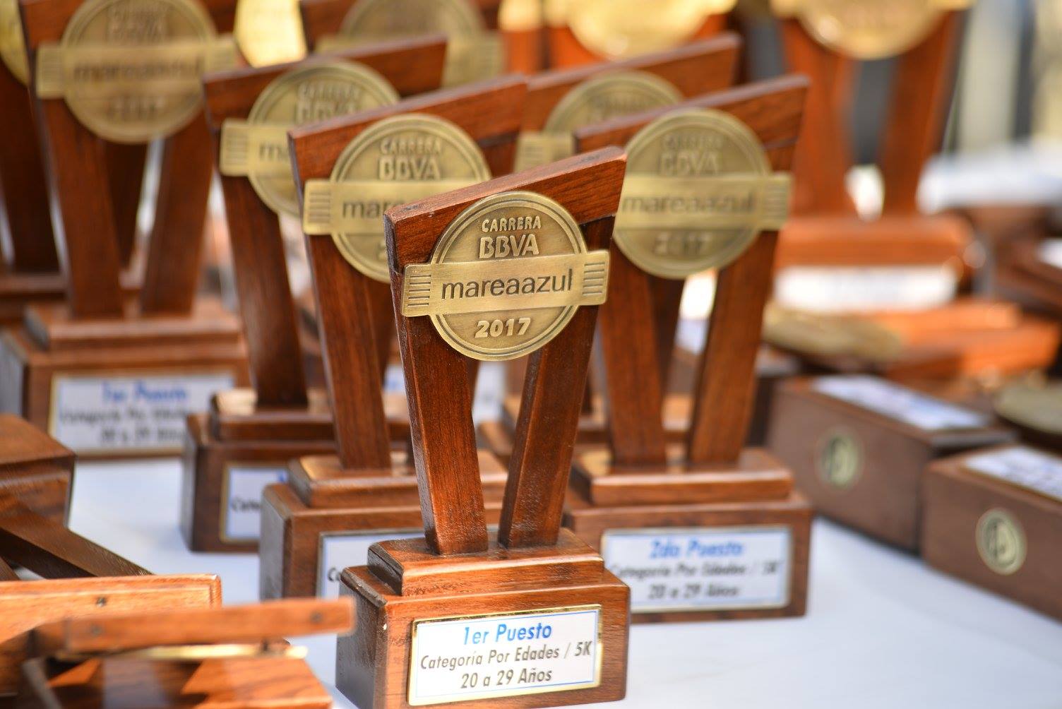 Trofeos Marea Azul 2017