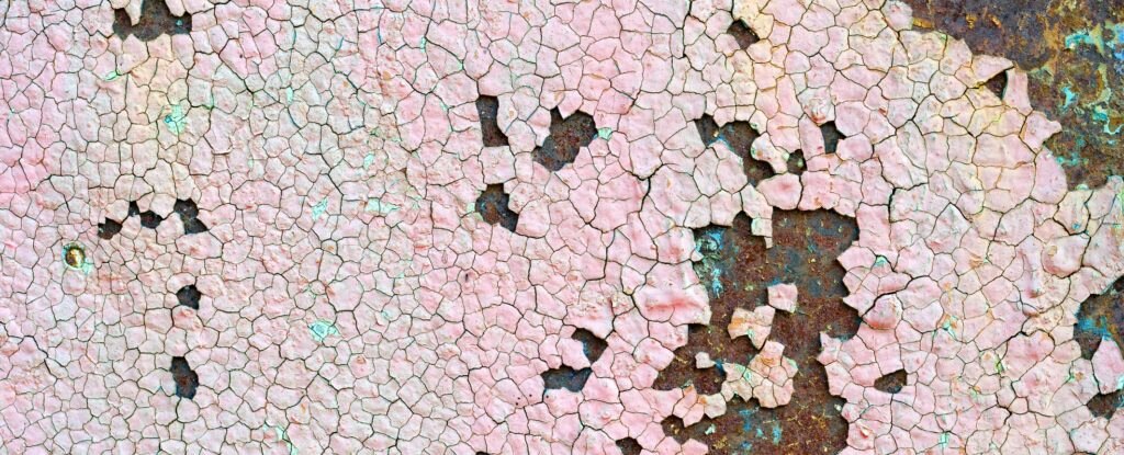 Imagen del suelo degradado por el cambio climático, un reto que se abordó en la conferencia de Tim Besley en la Fundación BBVA