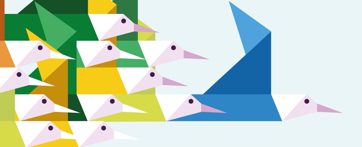 bbva ecologia medio ambiente responsable dibujo de pájaros volando