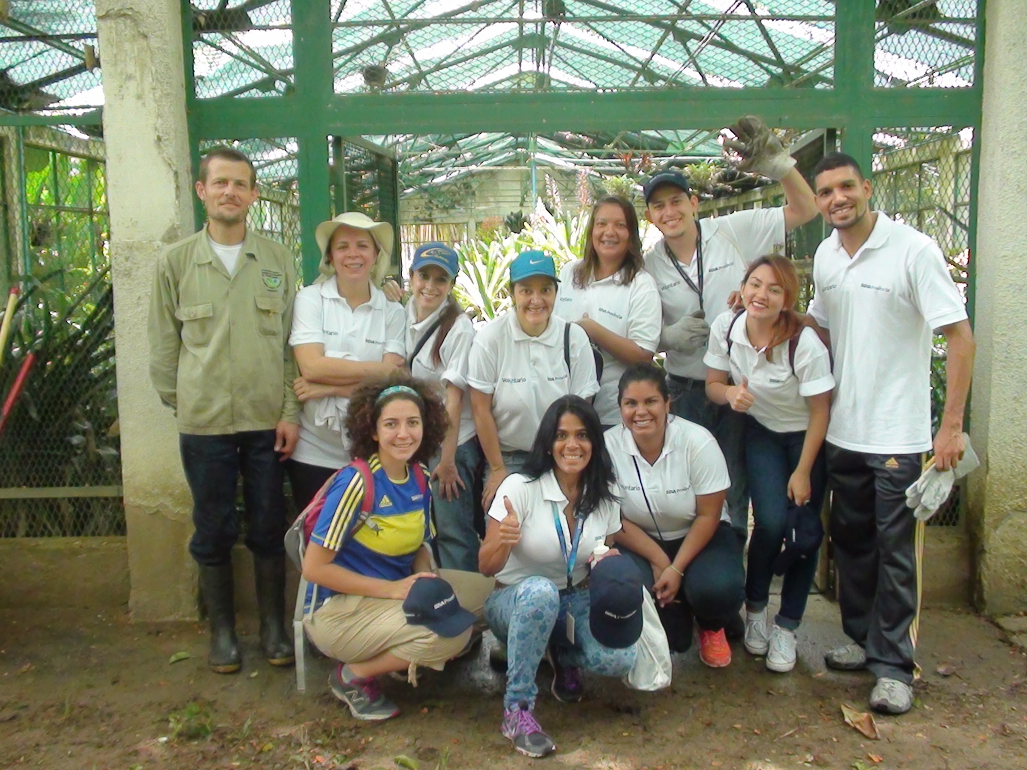 Voluntariado ambiental BBVA Provincial Voluntariado ambiental BBVA Provincial