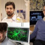 boyden_deisseroth_miensebock -premios- biomedicina boyden_deisseroth_miensebock -premios- biomedicina