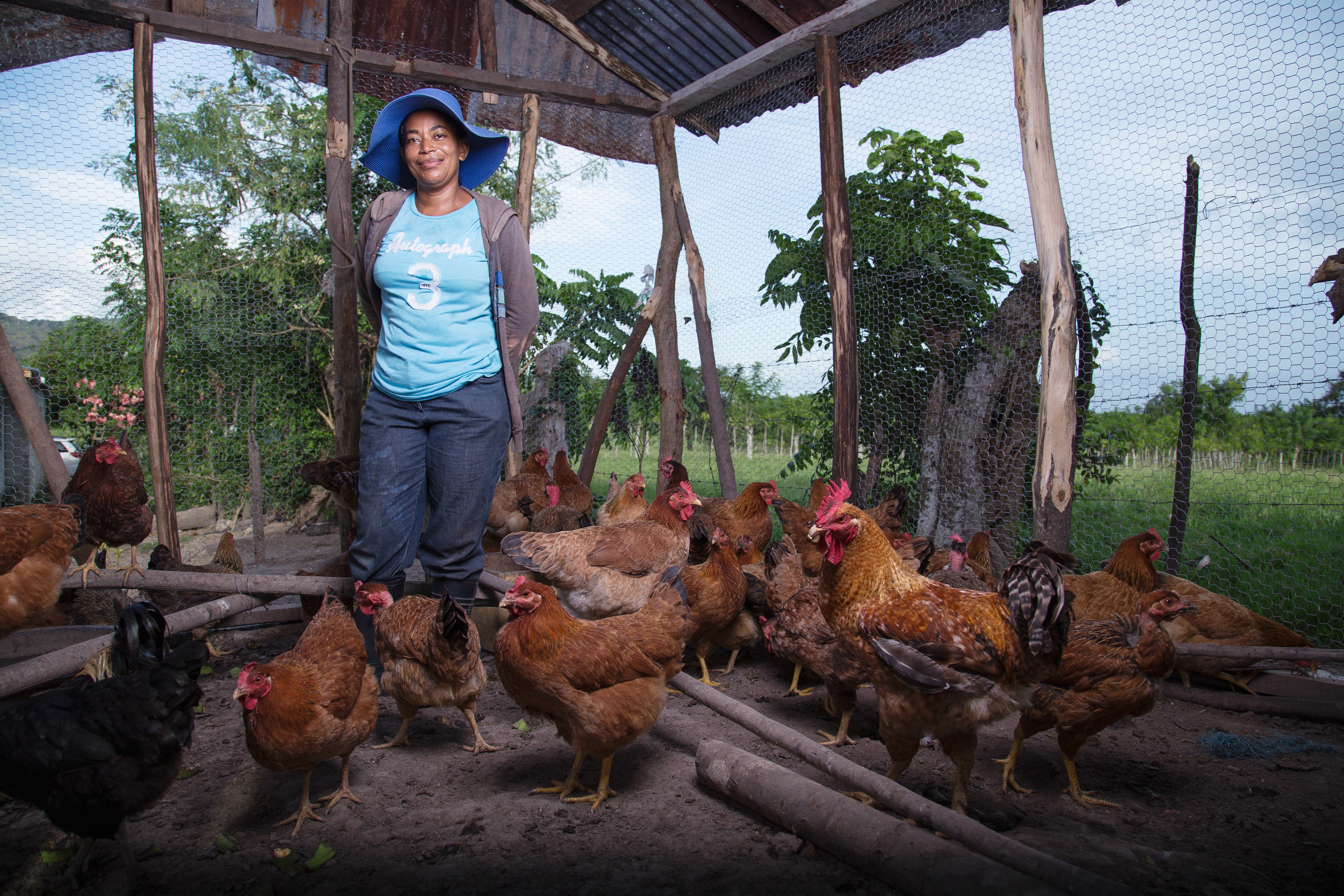 Fundación microfinanzas y la ayuda al emprendimiento de las mujeres en América Latina BBVA Fundación microfinanzas y la ayuda al emprendimiento de las mujeres en América Latina BBVA