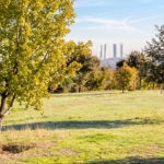 proyectos medioambientales, sostenibles, BBVA prestamo sostenible