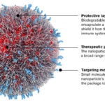 bio science ciencia innovacion tecnologia biomedicina nanomedicina investigacion bbva