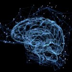 cerebro inteligencia bbva 09-08-2017