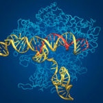 google-genomics-conectara-y-comparara-miles-de-genomas-bbva
