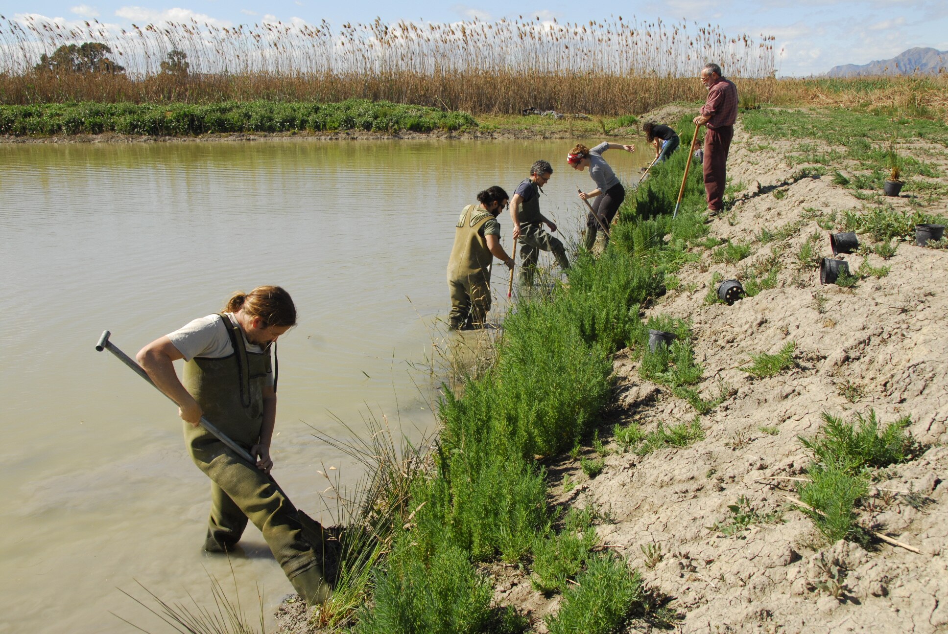 Voluntarios de ANSE, premio Fundación BBVA a la Conservación de la Biodiversidad en España