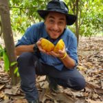 Jordi Roca con un fruto de cacao blanco de Piura en una plantación