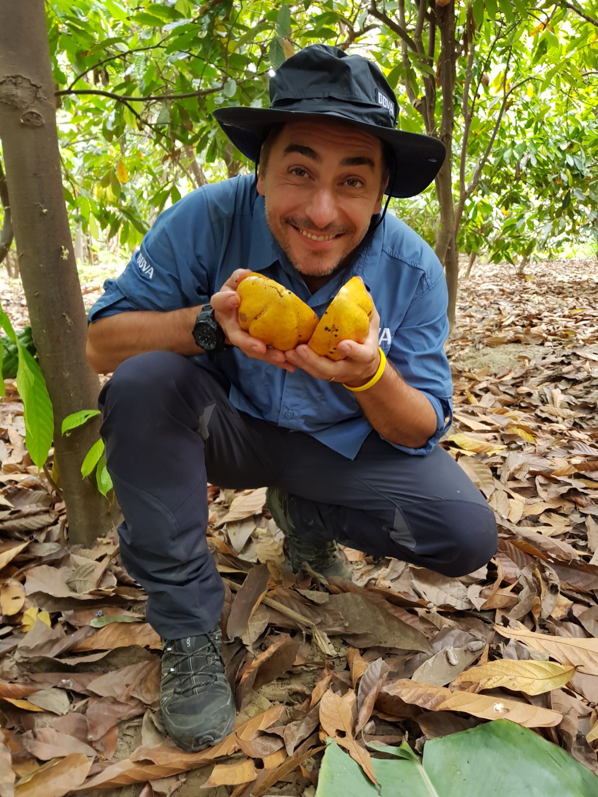 Jordi Roca con un fruto de cacao blanco de Piura en una plantación Jordi Roca con un fruto de cacao blanco de Piura en una plantación