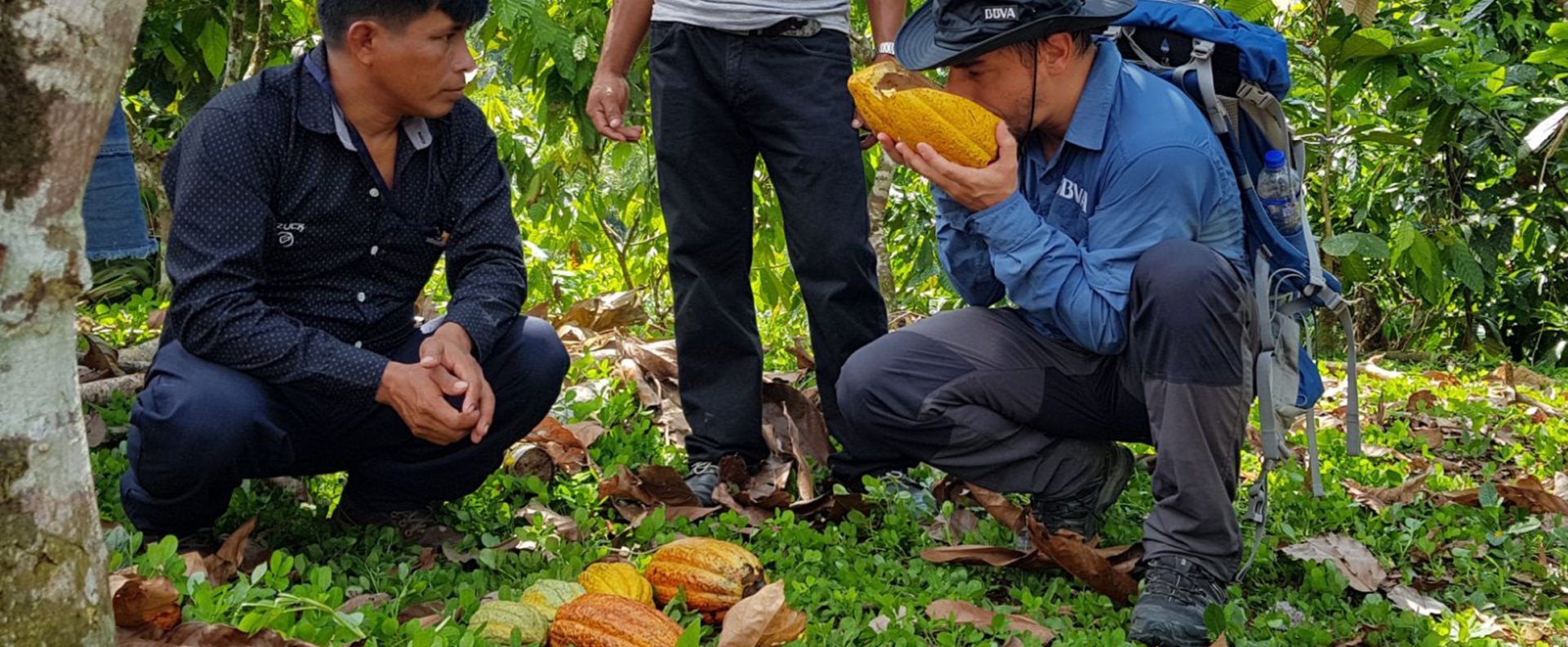 Jordi Roca probando los frutos de cacao