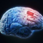 cerebro-inteligencia-artificial-bbva