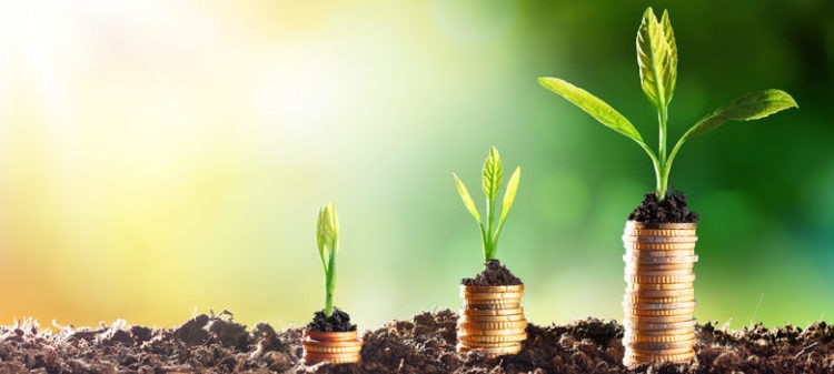 hogar-verde-cambio-reciclaje-ahorro-ecologia-habitos-medioambiente-