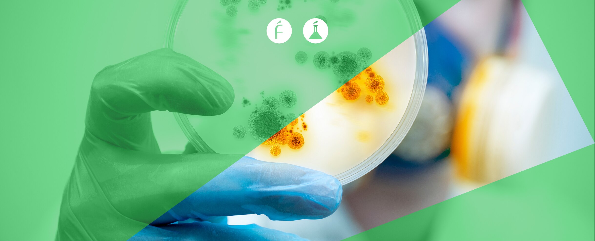 A-2401-FUNDEU super bacteria A-2401-FUNDEU super bacteria