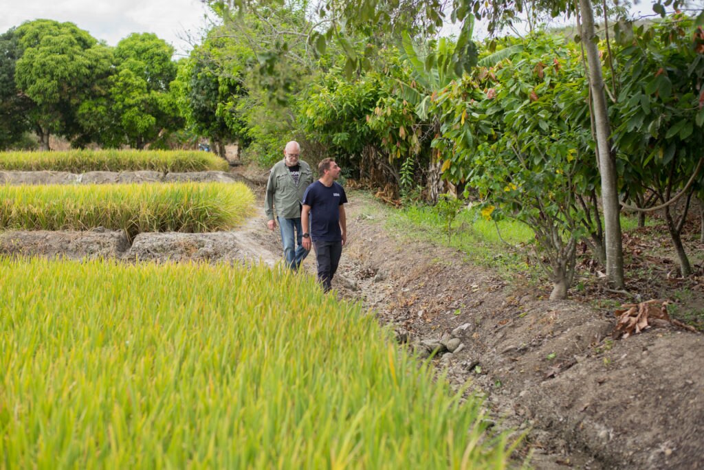 Jordi Roca e Ignacio Medina camina por la linde que separa un arrozal de un cacaotal en la ciudad de Jaén, en la región de Amazonas de Perú