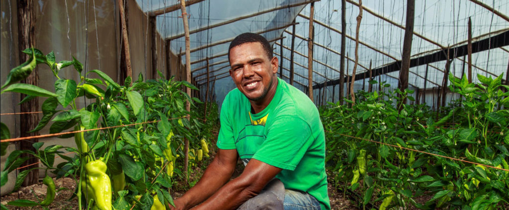 Agricultor al que atiende Banco Adopem, entidad de la FMBBVA en Rep. Dominicana Fotografía de un agricultor al que atiende Banco Adopem, entidad de la FMBBVA en Rep. Dominicana