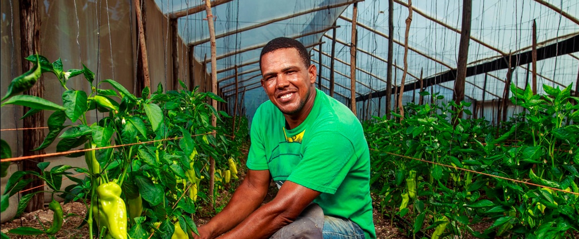 Fotografía de un agricultor al que atiende Banco Adopem, entidad de la FMBBVA en Rep. Dominicana