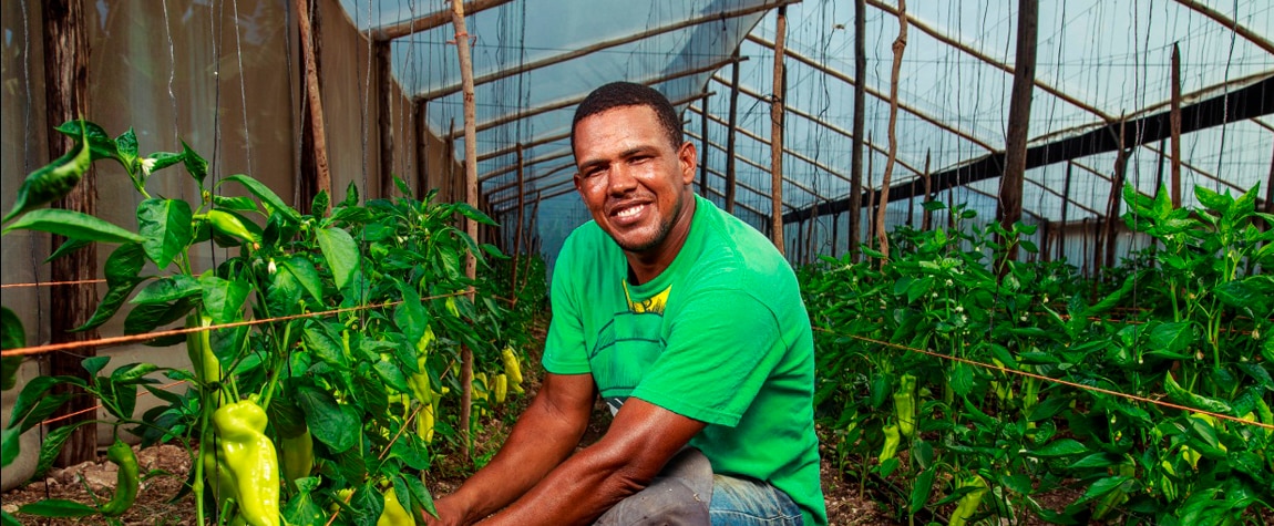 Agricultor al que atiende Banco Adopem, entidad de la FMBBVA en Rep. Dominicana Fotografía de un agricultor al que atiende Banco Adopem, entidad de la FMBBVA en Rep. Dominicana