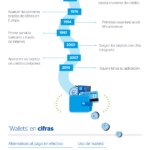 infografia-cibbva-el-auge-infografia-cibbva-el-auge-de-los-walletsde-los-wallets