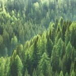 sostenibilidad ecologia recurso sostenibilidad ecologia recurso