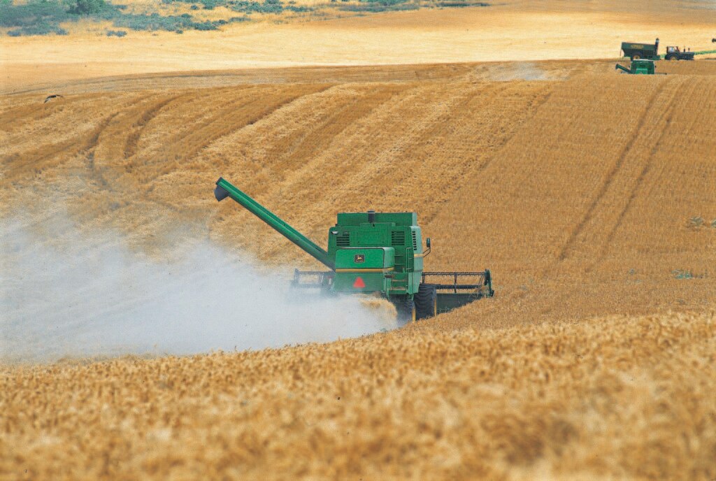 industria-agropecuaria-argentina-agroindustria-macroeconomia-especial-argentina-bbva-frances-bbva industria-agropecuaria-argentina-agroindustria-macroeconomia-especial-argentina-bbva-frances-bbva