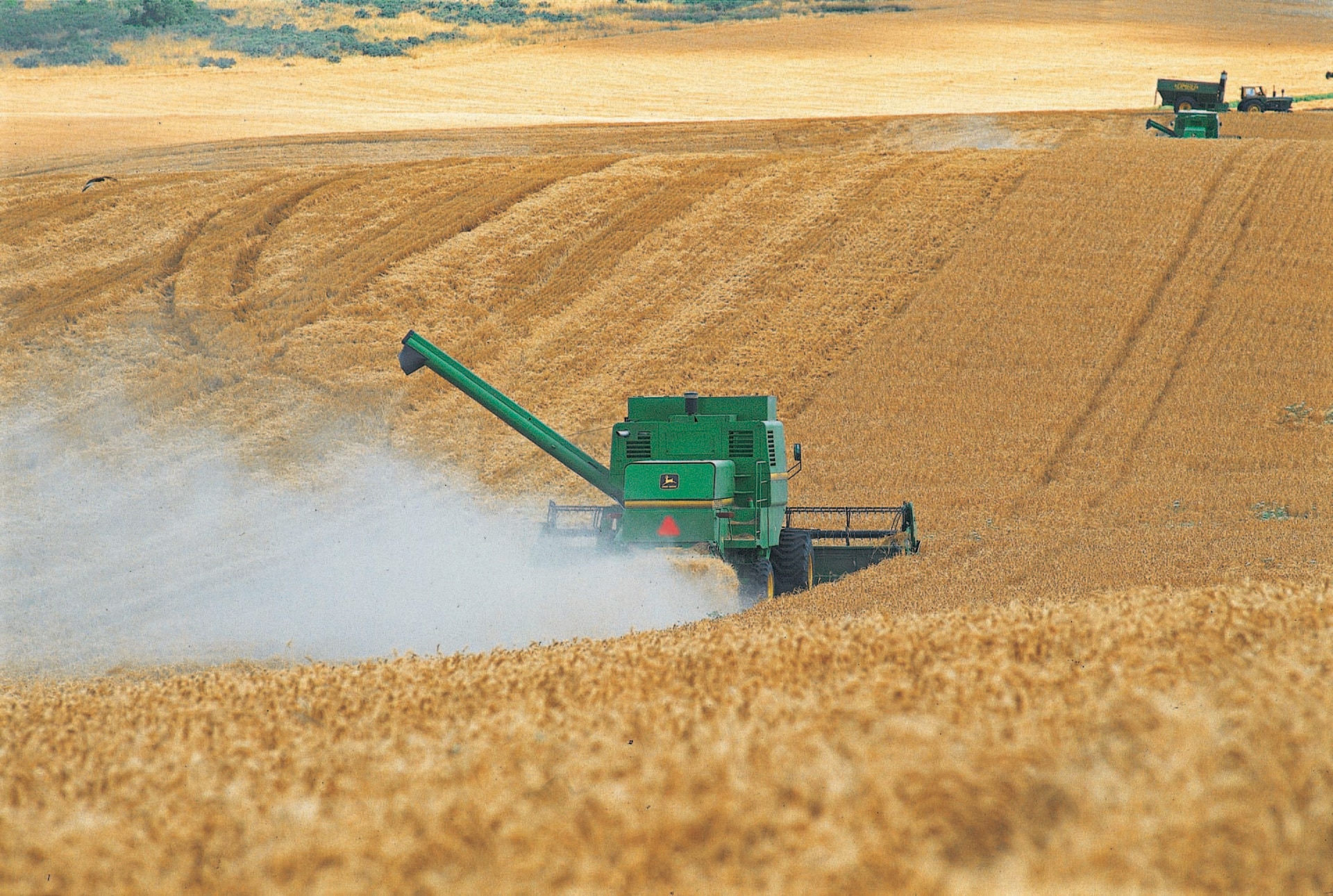 industria-agropecuaria-argentina-agroindustria-macroeconomia-especial-argentina-bbva-frances-bbva