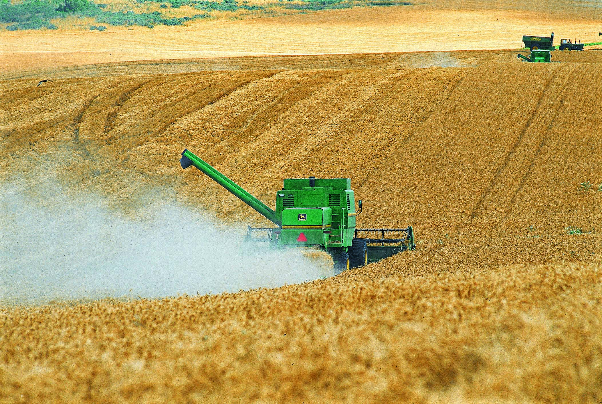 industria-agropecuaria-argentina-agroindustria-macroeconomia-especial-argentina-bbva-frances-bbva