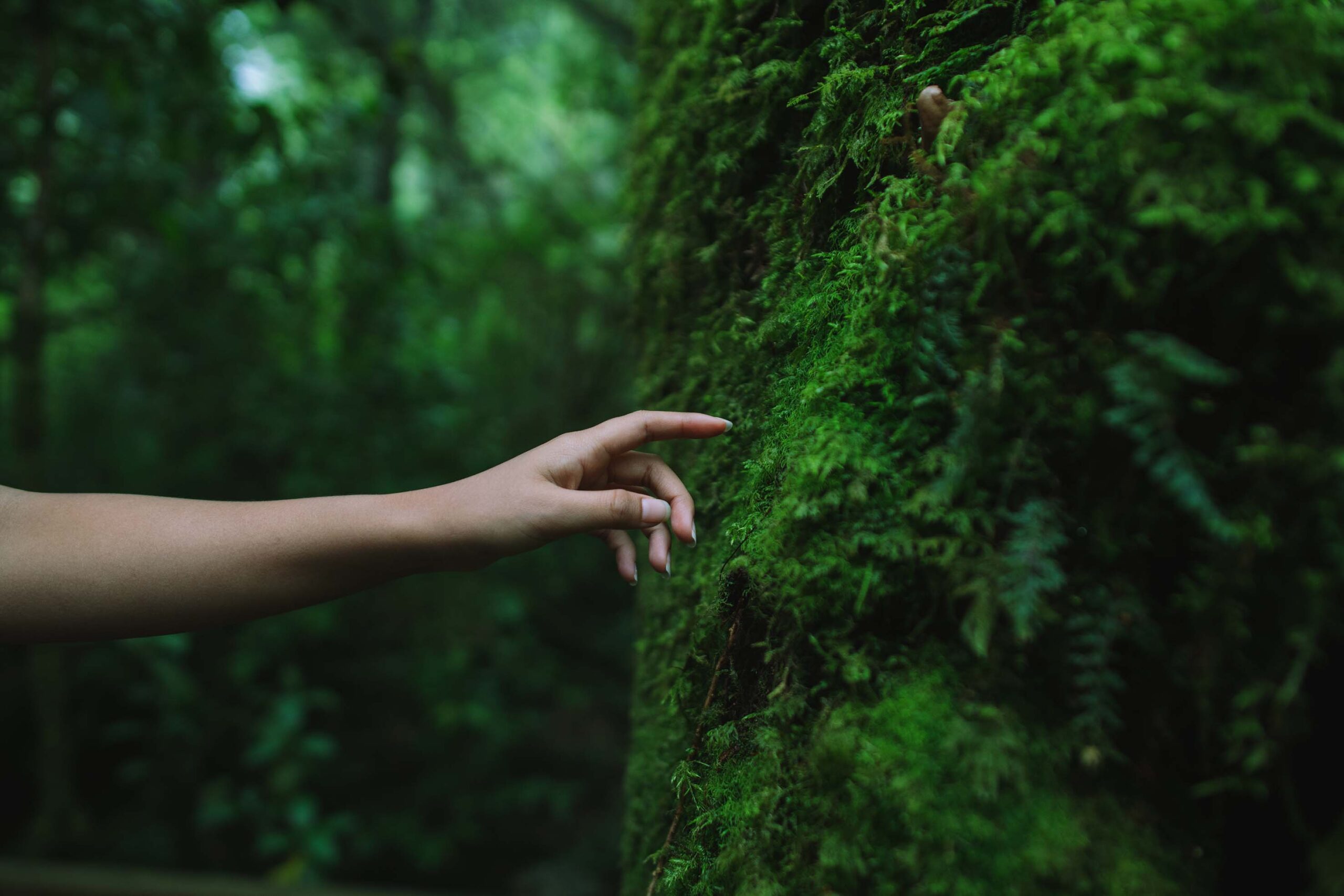 La conexión innata del ser humano con plantas y animales, con las que ha coexistido durante miles de años, tiene efectos beneficiosos sobre la salud. Muchas ciudades buscan renaturalizarse para atajar la contaminación, ser más resilientes frente al cambio climático y mejorar el bienestar ciudadano. Así es la biofilia: La conexión con la naturaleza como terapia