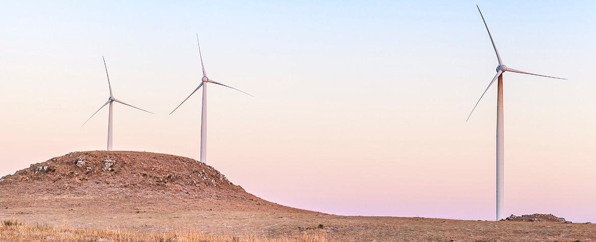 energia renovable-ecosistema-progeso-medio ambiente-economia-bbva