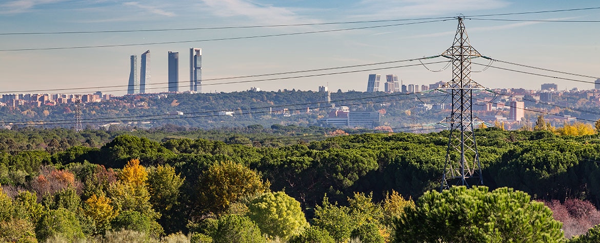 Fotografia de las cuatro torres de Madrid, bosque, verde, torre de electricidad BBVA cuatro torres de Madrid, bosque, verde, torre de electricidad