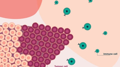 Animacion investigación IRB Fundación BBVA inmunoterapia cáncer colon