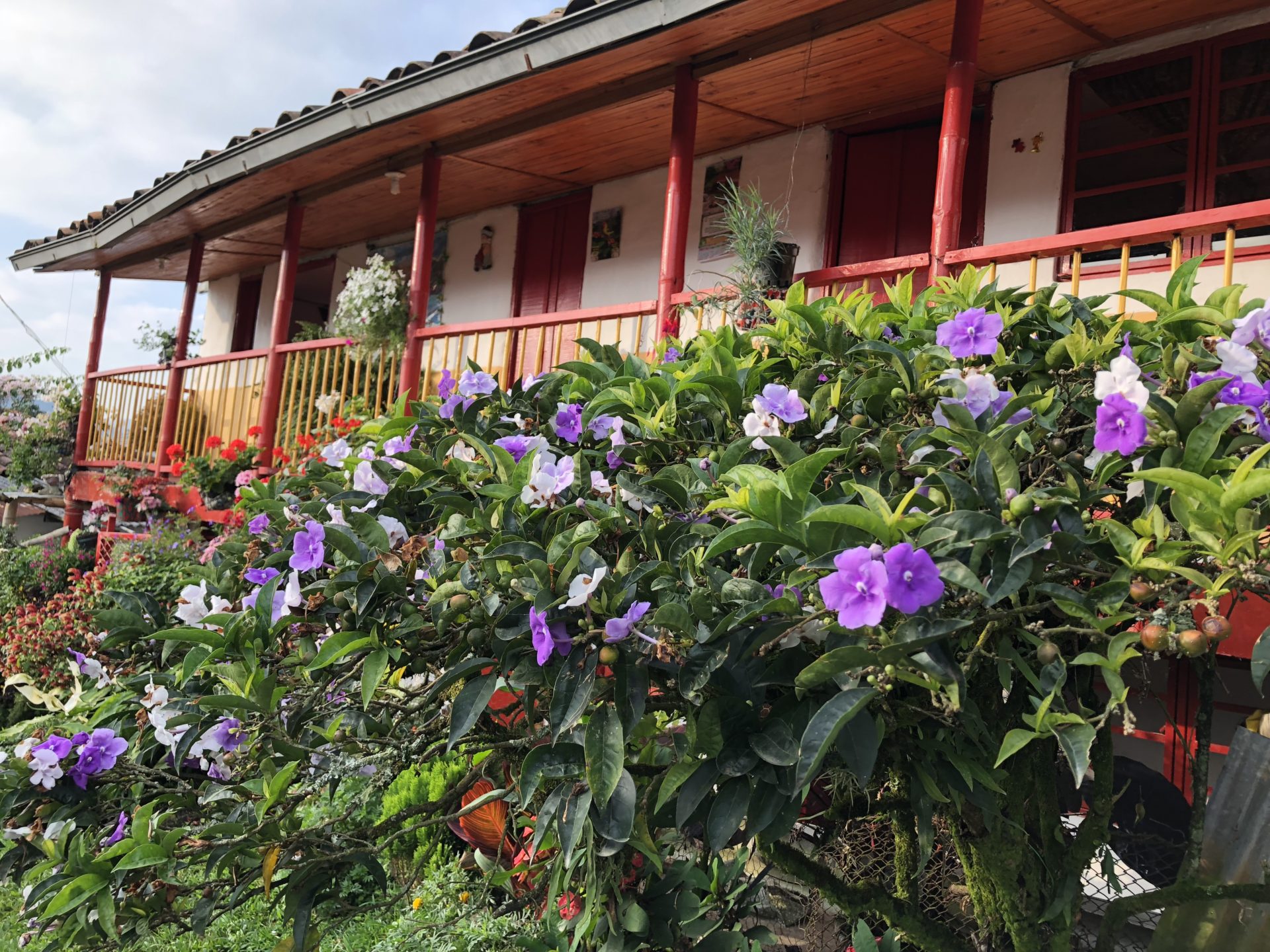 Fachada,finca,cafetera,Escuela,para,el,Emprendimiento,BBVA