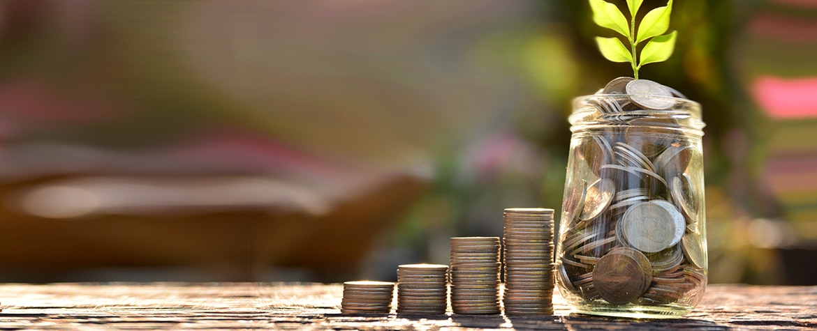 Dinero, monedas, planta, crecimiento, verde. Fotografía de dinero, monedas, planta, crecimiento, verde.