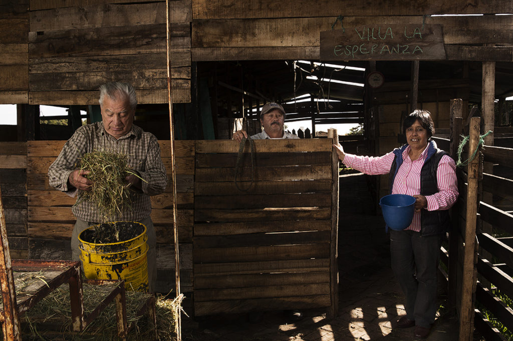 Astrid Orjuela, clienta de Fundación Microfinanzas BBVA en Colombia, trabaja en el establo de su granja junto a su marido y a un empleado. Astrid Orjuela, clienta de Fundación Microfinanzas BBVA en Colombia. Fotografía de Manuel Vázquez