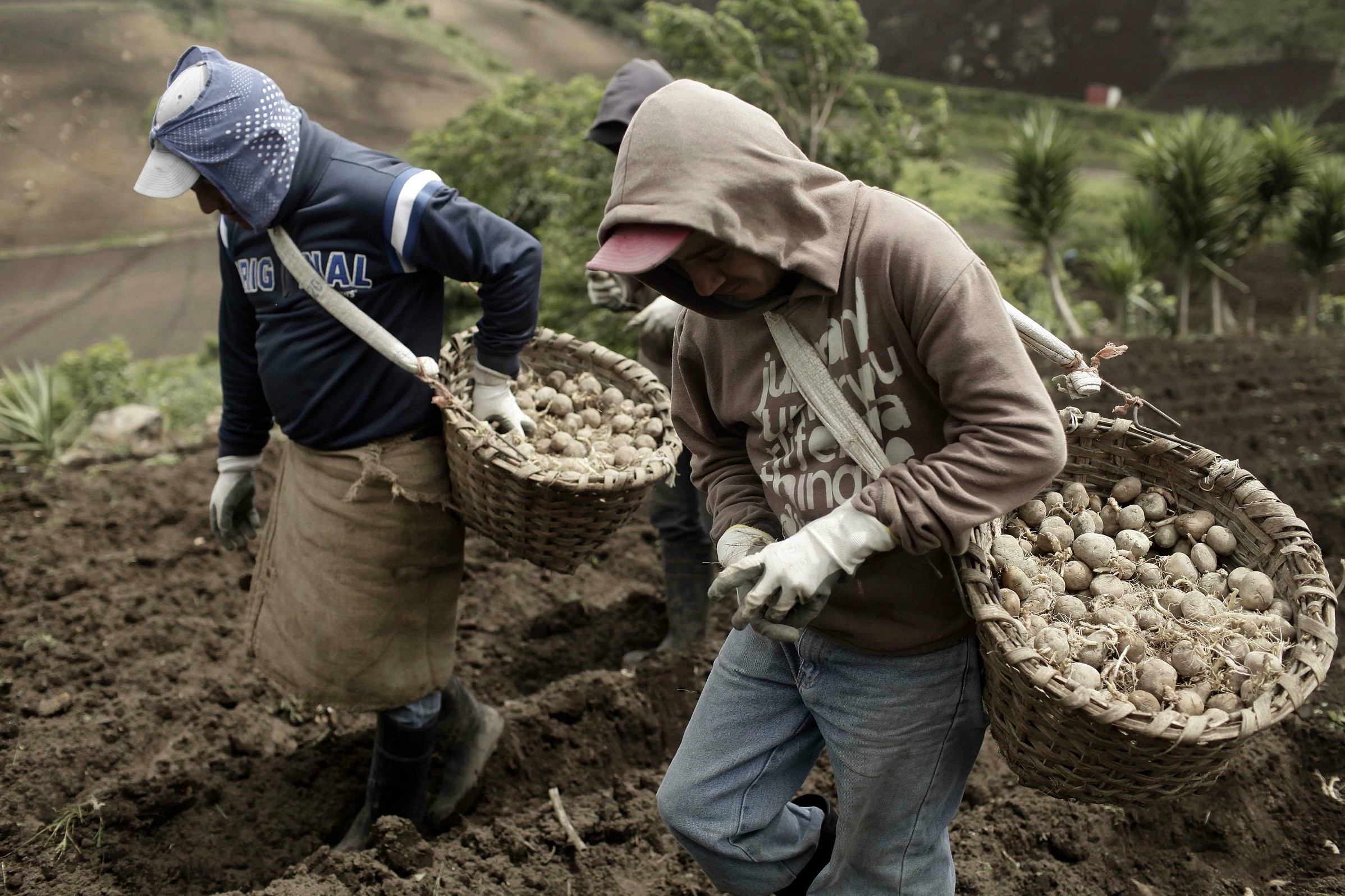 América Latina necesita más inversión en infraestructura digital para cerrar la brecha de los ODS 