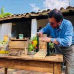Comunidades campesinas de Santander ven en las abejas su futuro