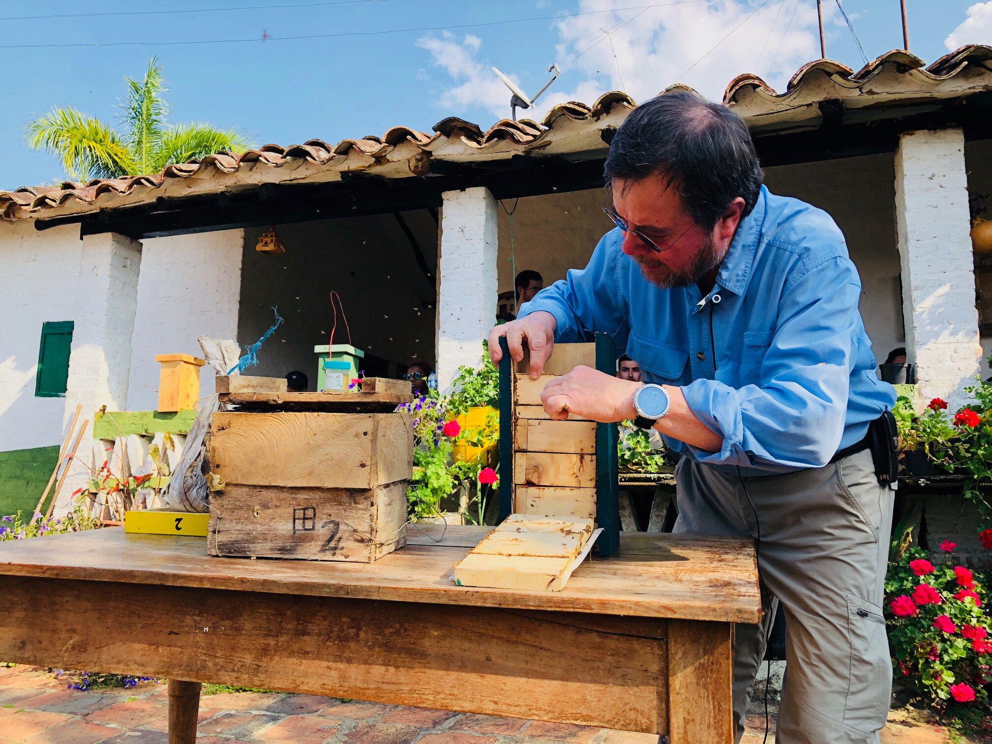 Comunidades campesinas de Santander ven en las abejas su futuro Comunidades campesinas de Santander ven en las abejas su futuro