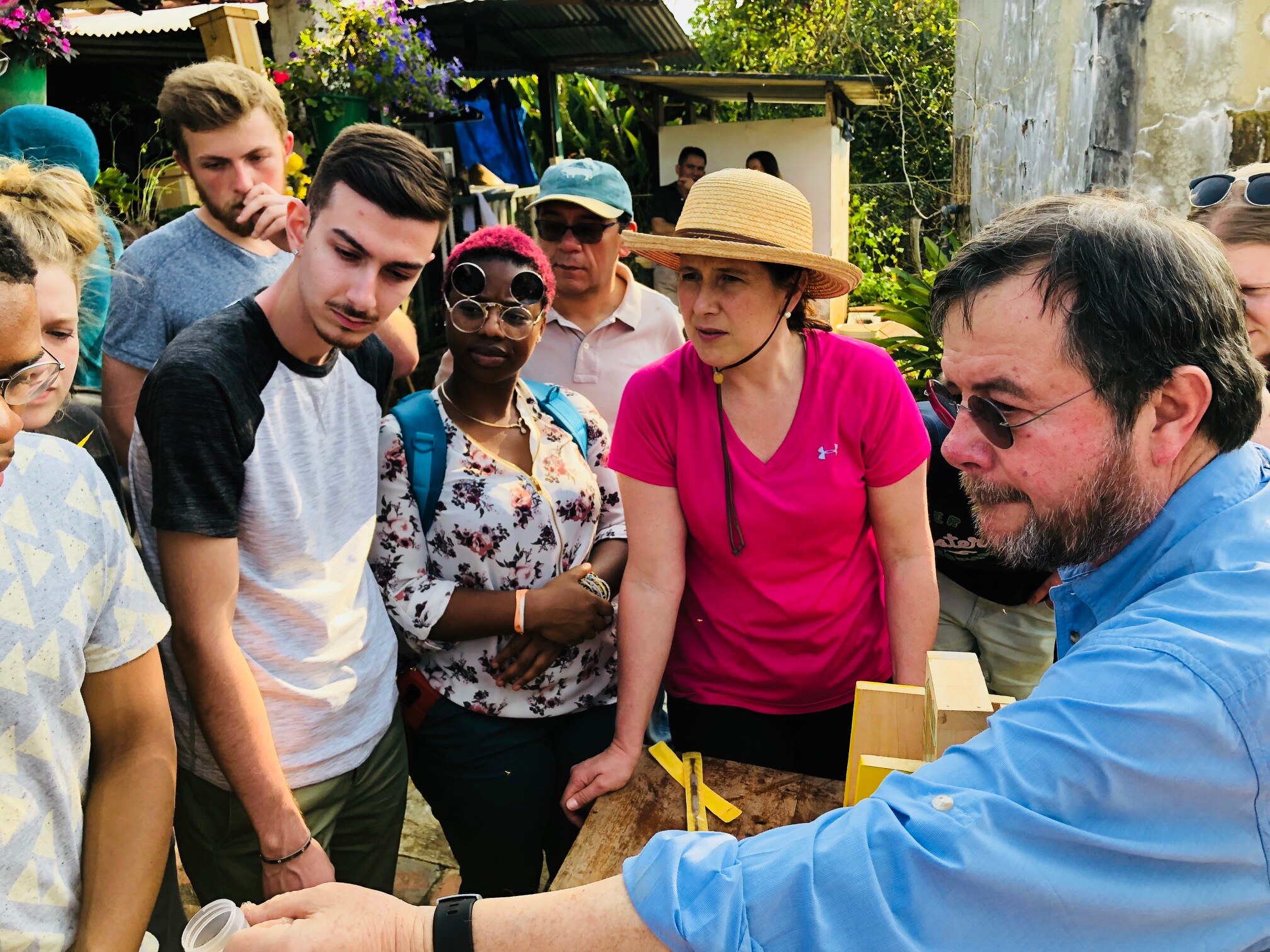 Comunidades campesinas de Santander ven en las abejas su futuro Comunidades campesinas de Santander ven en las abejas su futuro