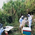 La apicultura, una oportunidad para las comunidades campesinas de Santander