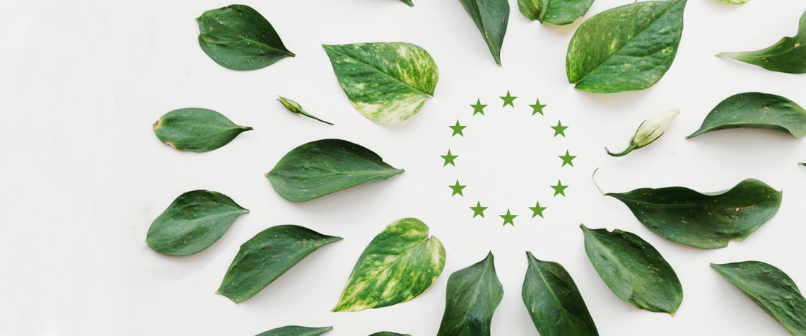 fotografia de bandera verde union europea, hojas verdes, estrellas verdes BBVA
