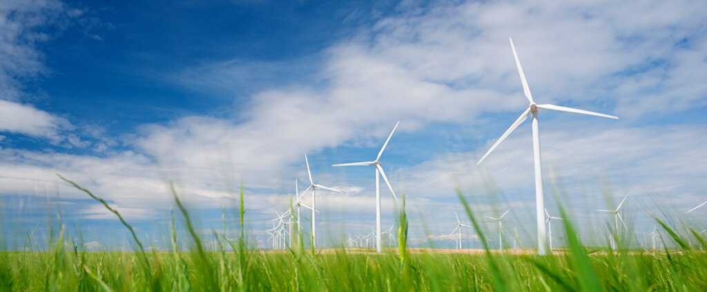 Fotografía de BBVA proyecto sostenible, parque eólico, aerogenerador, campo, naturaleza, medio ambiente, financiación sostenible, verde