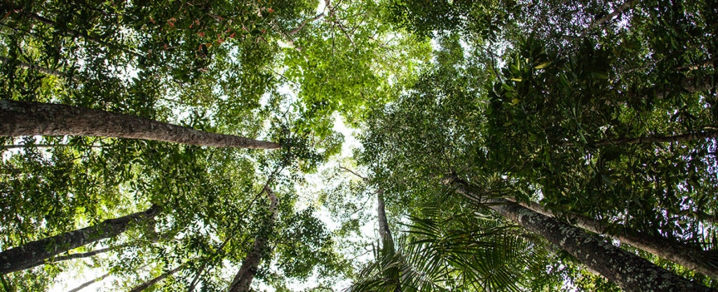 Cambio-Climatico-medioambiente-sostenibilidad-naturaleza-BBVA Cambio-Climatico-medioambiente-sostenibilidad-naturaleza-BBVA
