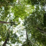 Cambio-Climatico-medioambiente-sostenibilidad-naturaleza-BBVA Cambio-Climatico-medioambiente-sostenibilidad-naturaleza-BBVA